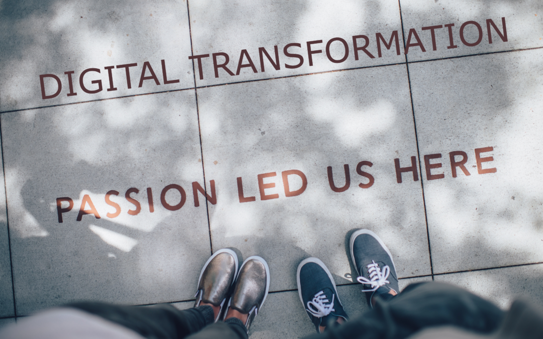 Digital Transformation & Portfolio management